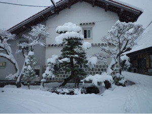 写真 雪景色